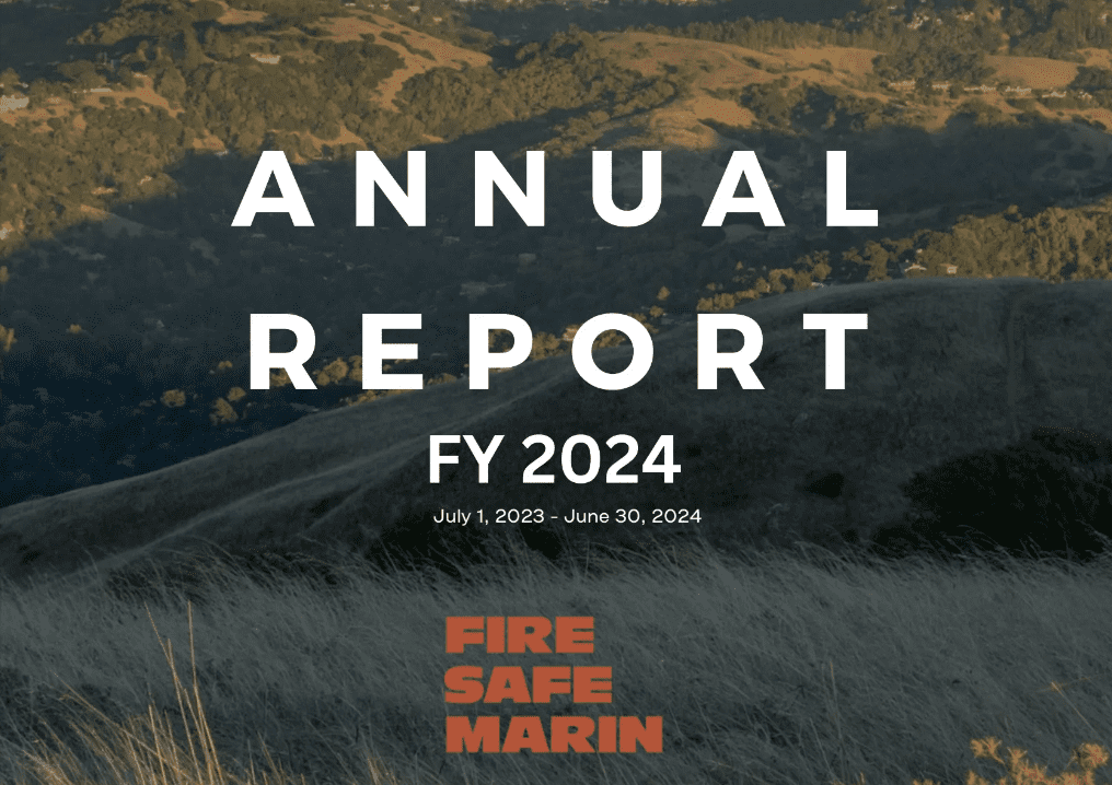 "Annual Report"